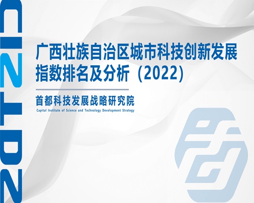 男生的操逼水网站【成果发布】广西壮族自治区城市科技创新发展指数排名及分析（2022）